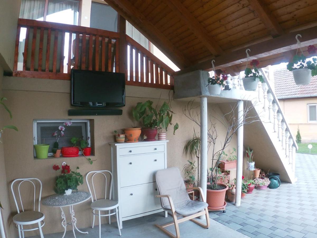 לינה וארוחת בוקר Sînnicolau Mare Casa Sannicolau מראה חיצוני תמונה