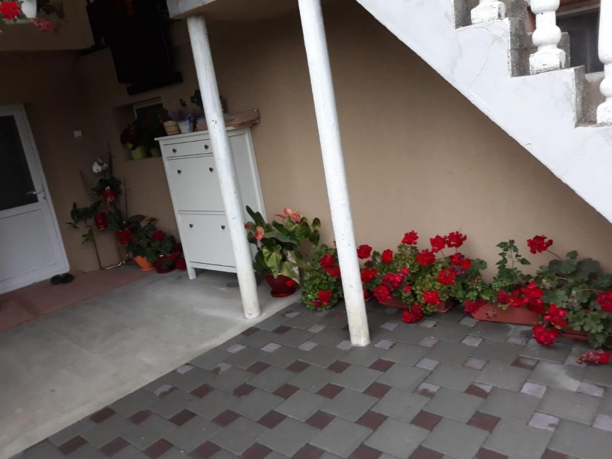 לינה וארוחת בוקר Sînnicolau Mare Casa Sannicolau מראה חיצוני תמונה