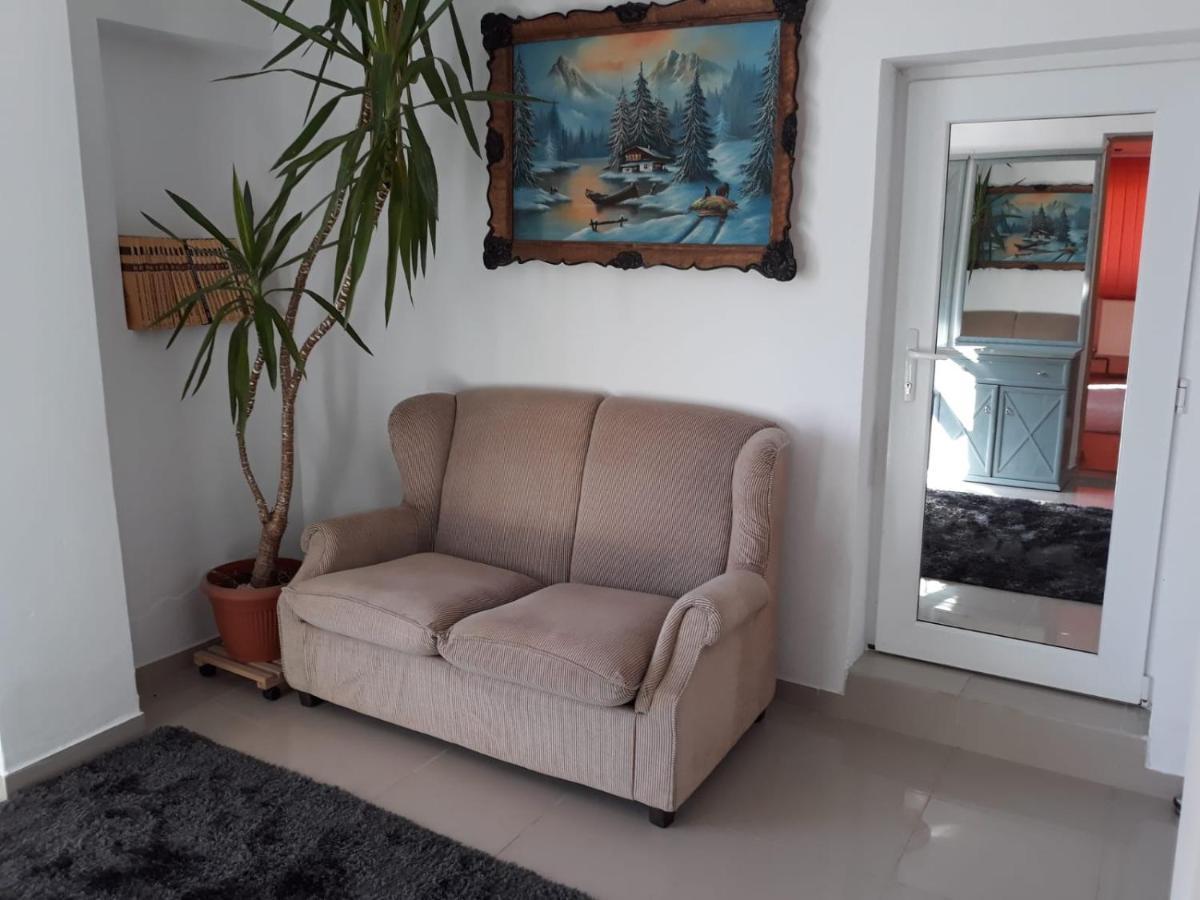 לינה וארוחת בוקר Sînnicolau Mare Casa Sannicolau מראה חיצוני תמונה