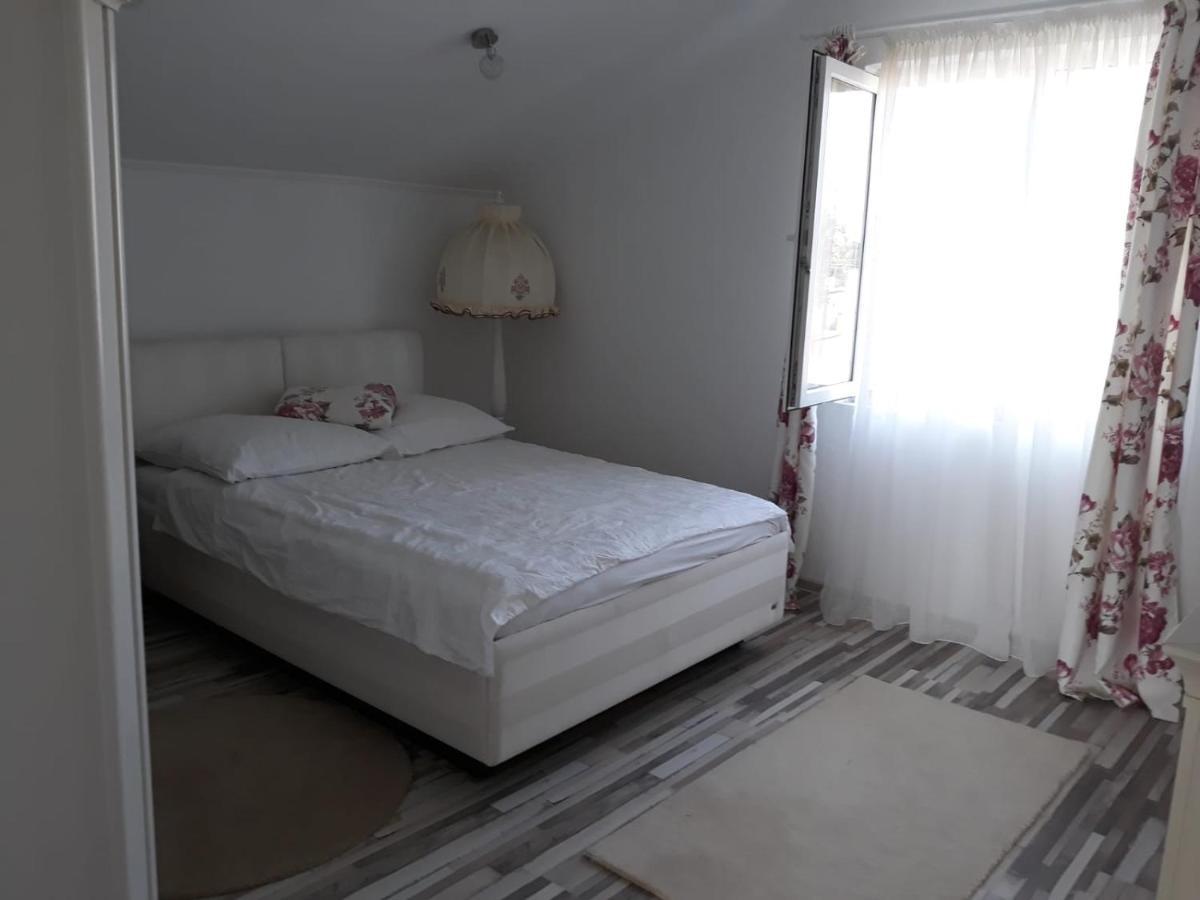 לינה וארוחת בוקר Sînnicolau Mare Casa Sannicolau מראה חיצוני תמונה