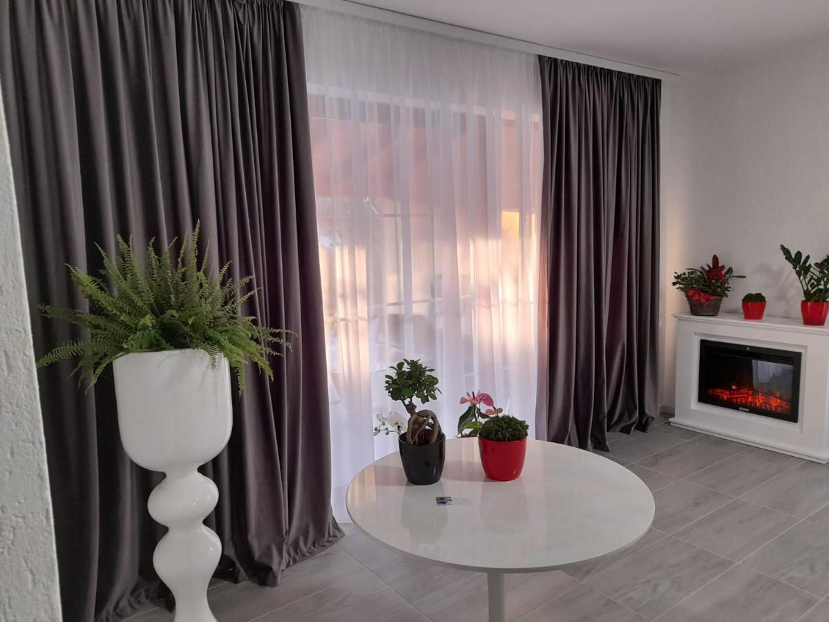לינה וארוחת בוקר Sînnicolau Mare Casa Sannicolau מראה חיצוני תמונה