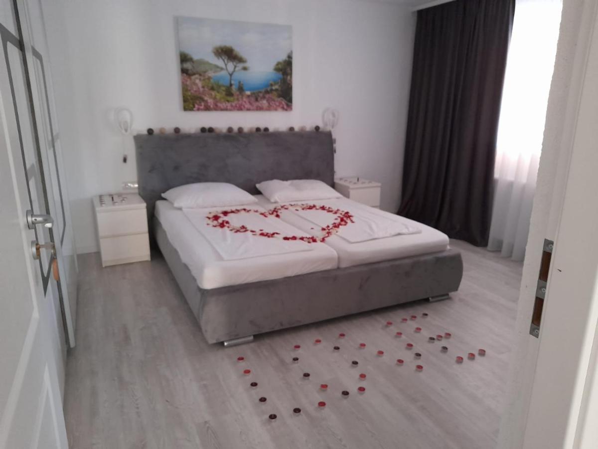 לינה וארוחת בוקר Sînnicolau Mare Casa Sannicolau מראה חיצוני תמונה